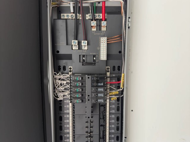 Open residential load center with labelled branch circuits and the service conductors landed at the main lugs